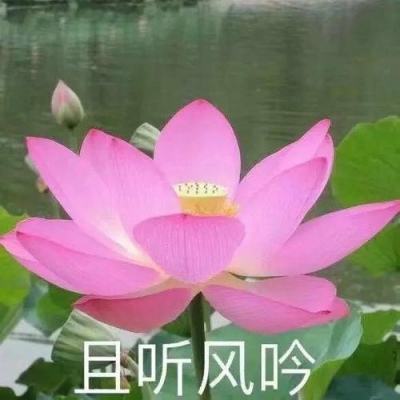 好彩网app下载